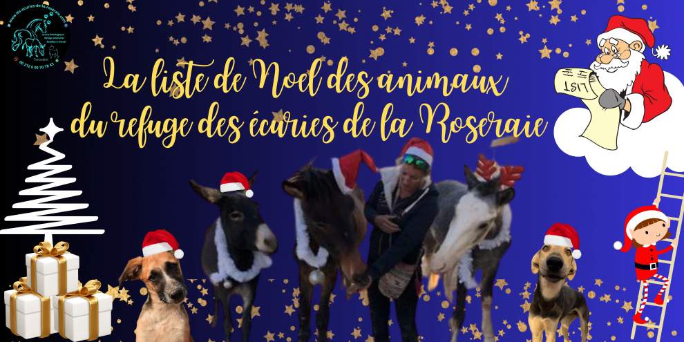 Liste de Noël de elodie